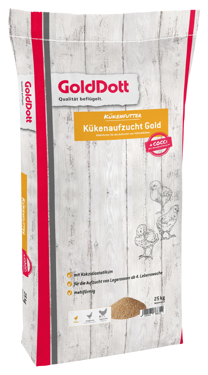Golddott Kükenaufzucht Gold